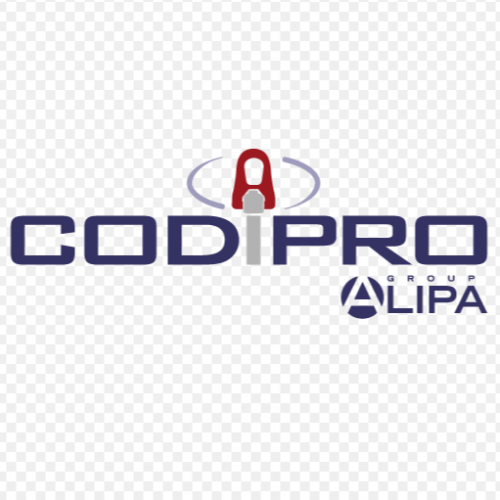 法國(guó) CODIPRO-吊環(huán) - 360